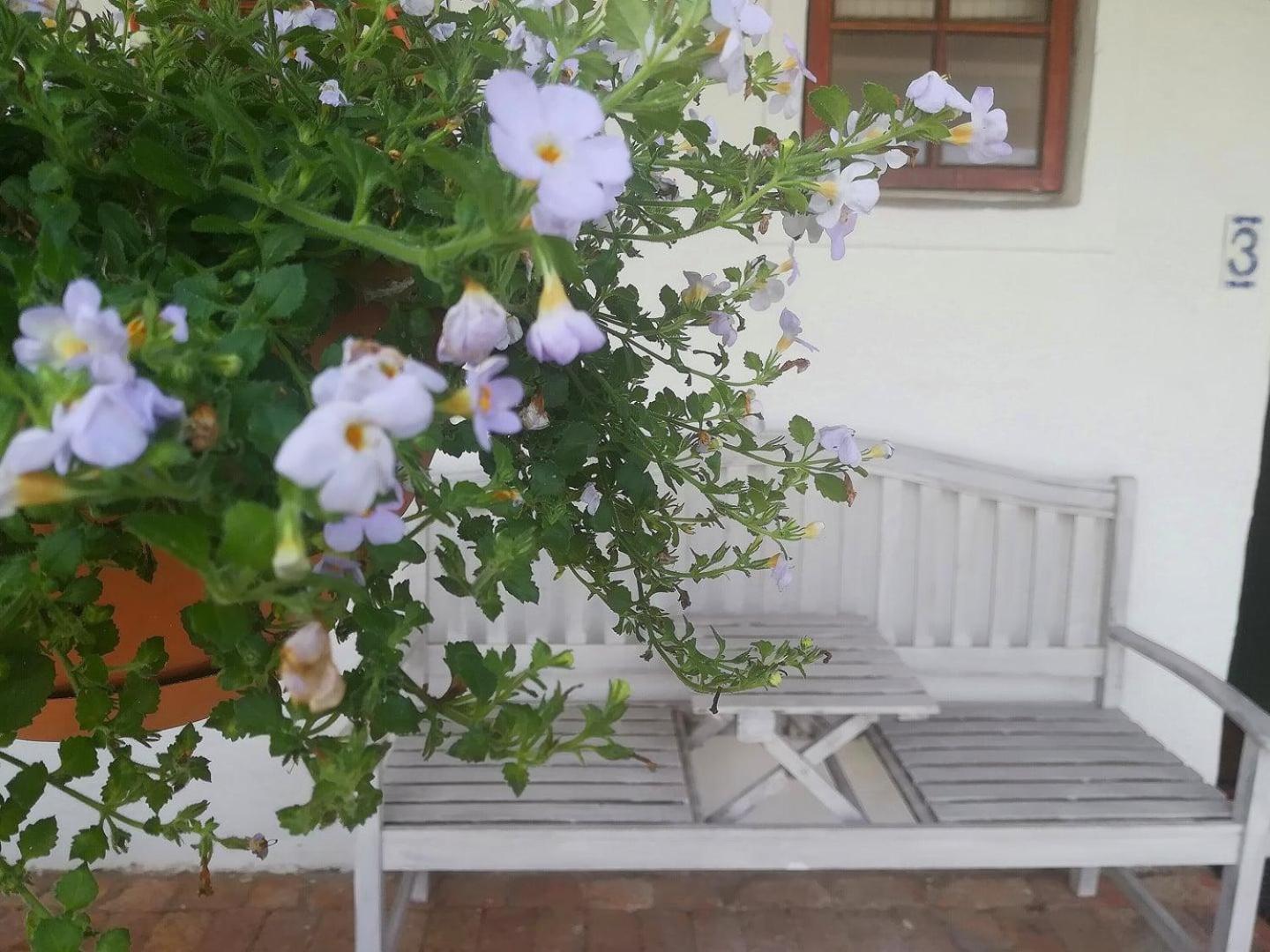 Kaijaiki Country Inn And Restaurant Yzerfontein Rom bilde